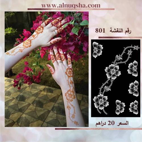 نقشة 801 لليدين