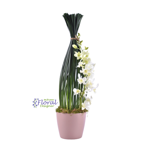 الفازات