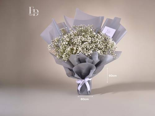 الباقات
