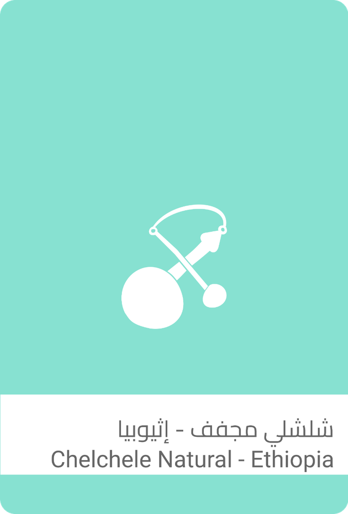سلالات شلشلي مجفف - إثيوبيا