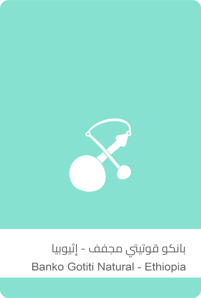 سلالات بانكو قوتيتي مجفف - إثيوبيا