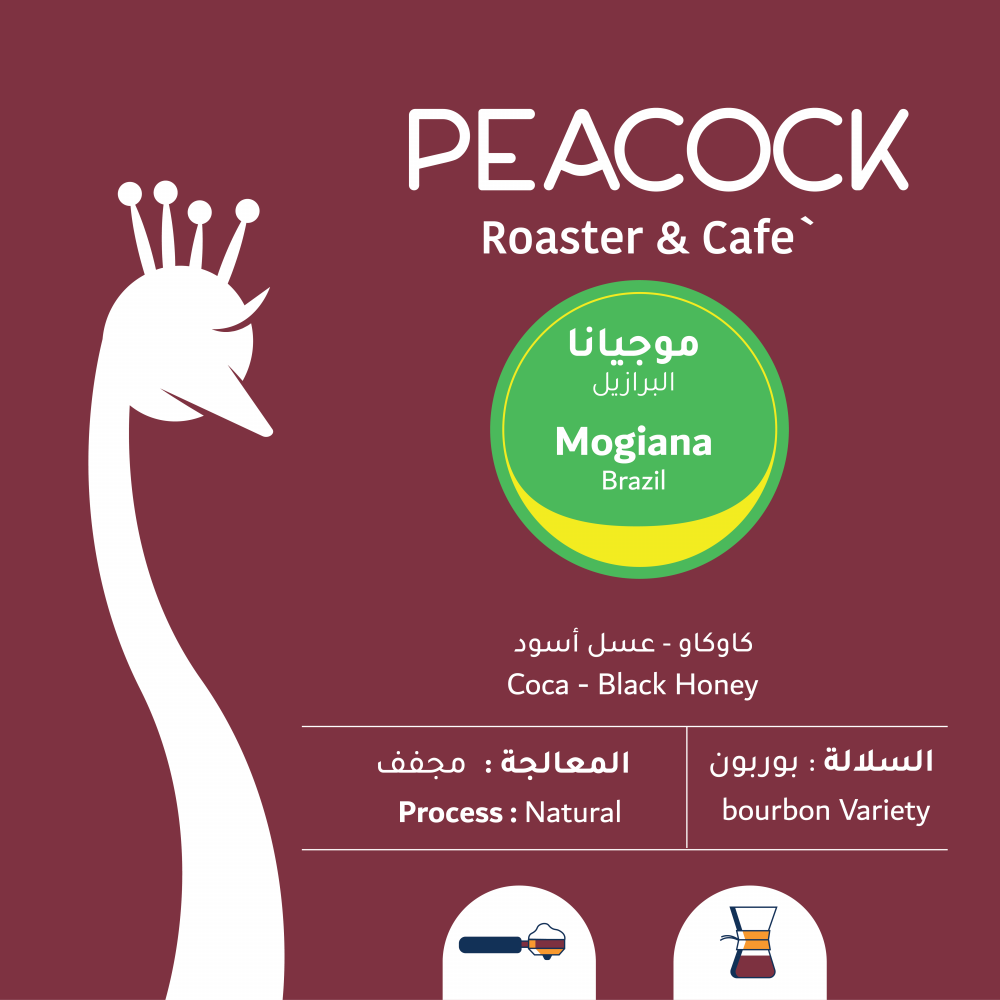 موجيانا - البرازيل