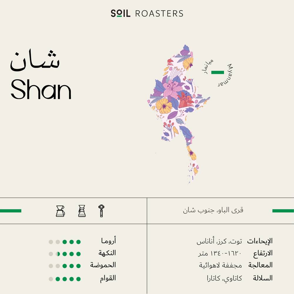 سويل شان ماينمار الهند