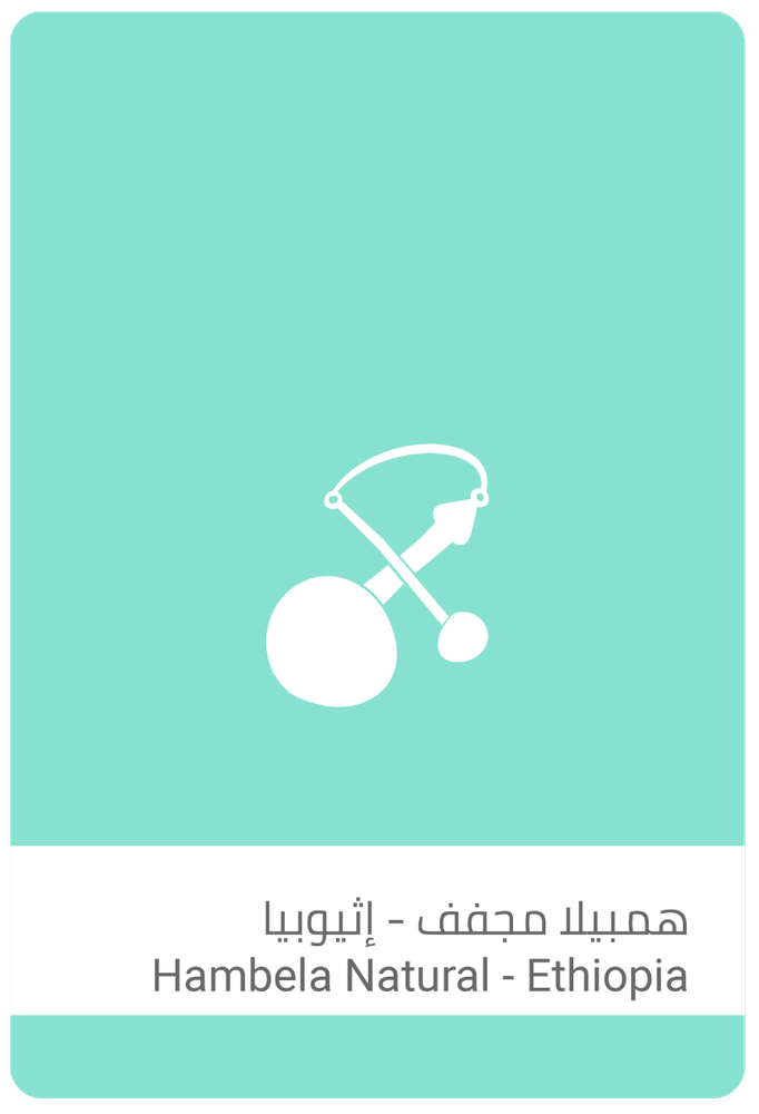 سلالات همبيلا مجفف - اثيوبيا