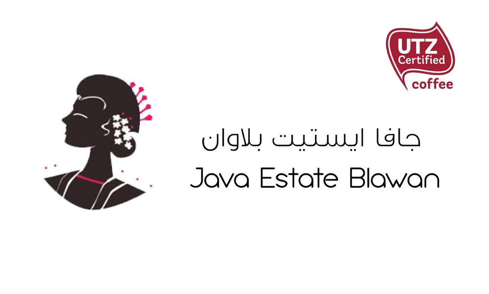 جافا ايستيت بلاوان 907g