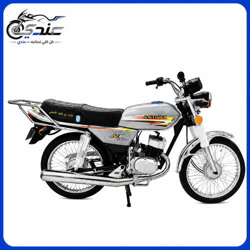 دراجة AX100 بن ثابت - لون رصاصي