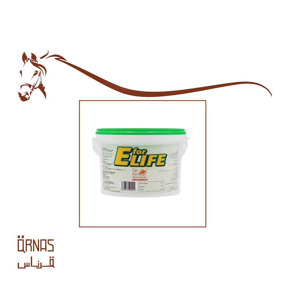 اي فور لايف - E for life(الاستشفاء بعد التمرين)