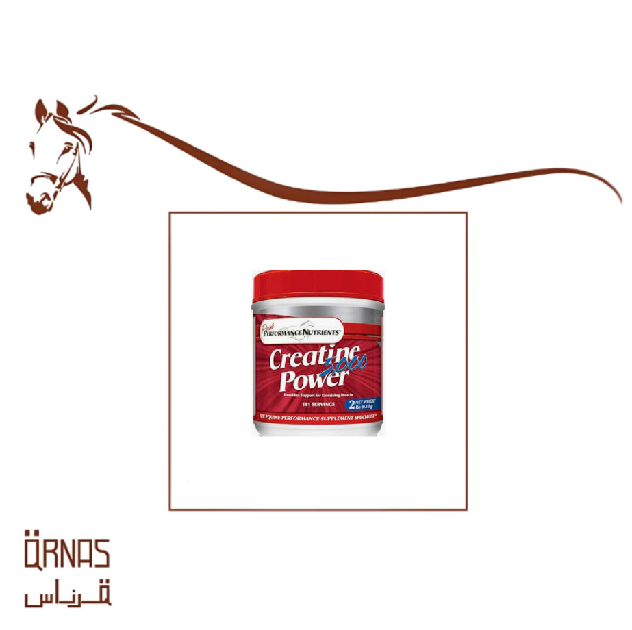 بودرة كرياتين باور - Creatine Power