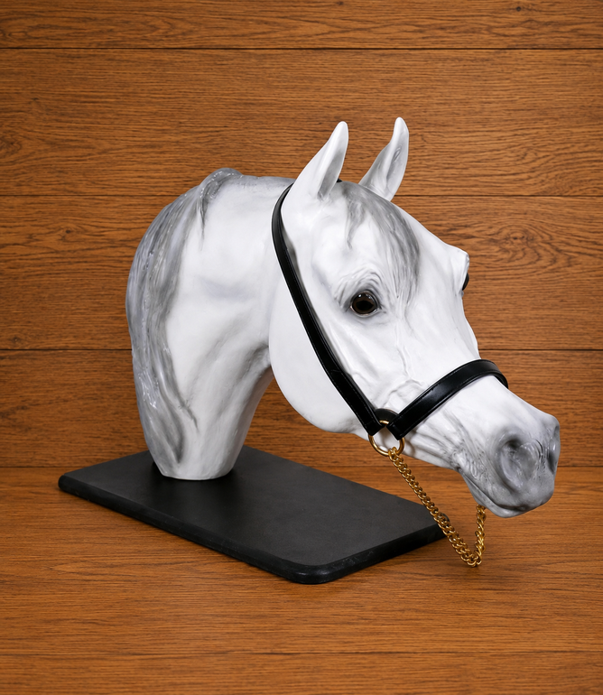 رشمة خيل جمال