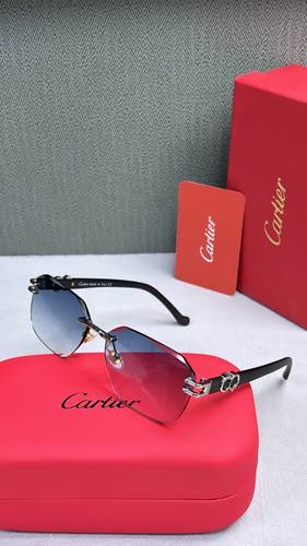 نظارة كارتير هاي كوالتي كود 33