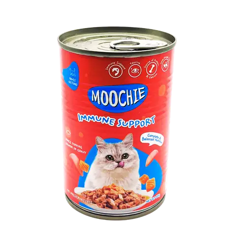 معلبات موتشي بالسالمون 400 جرام (24PCS)