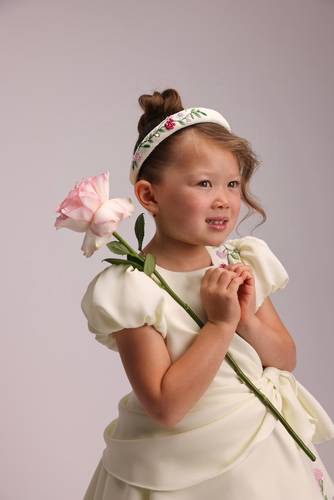Orchard Branches  Hairband