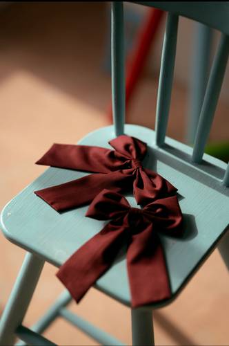School bow