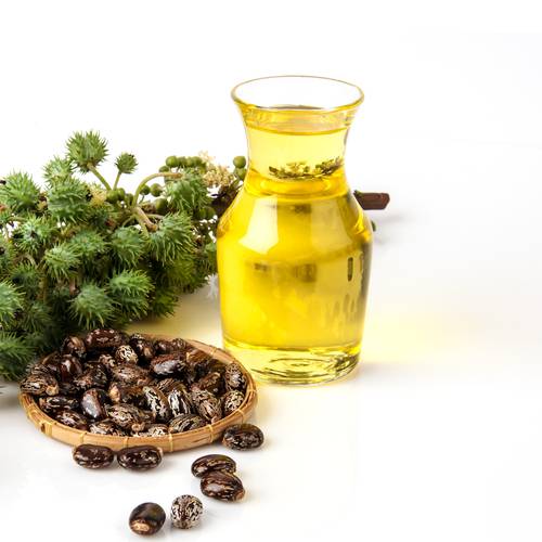 زيت الخروع 