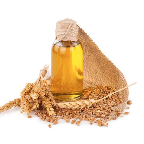 زيت جنين القمح 