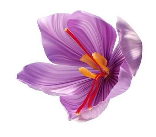 Saffron Kashmiri-natural oil