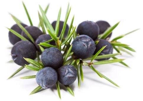 Juniper berries - natural oil