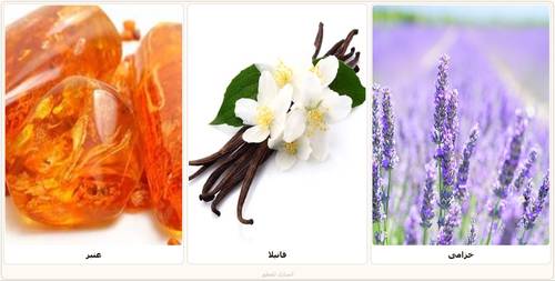 Ghada_Natural mixed oil