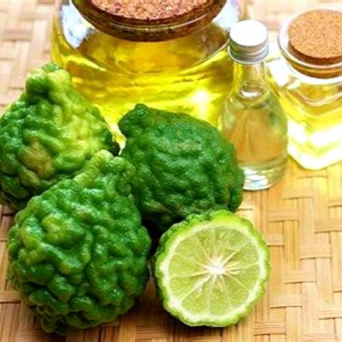 برغموت - دهن