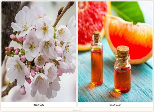 Euphrates _ Natural mixed oil