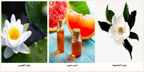 Salwa_Natural mixed oil