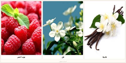Balqis_Natural mixed oil
