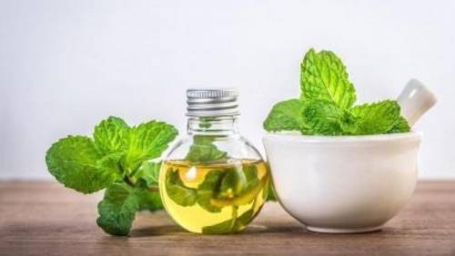 نعناع🌿دهن طبيعي 
