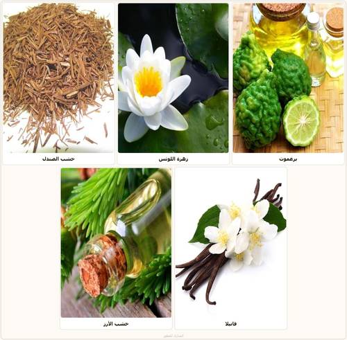 Badr - Natural Mixed Oil