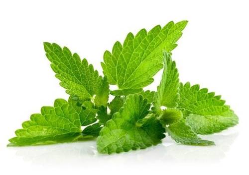 Patchouli - natural oil
