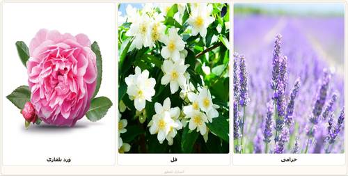 Mznah_Natural mixed oil