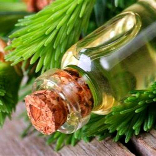 Cedar wood 🌾 Cedar - natural oil