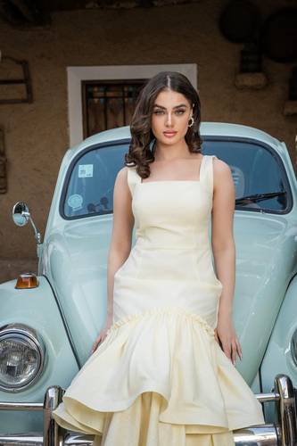 Dress 3