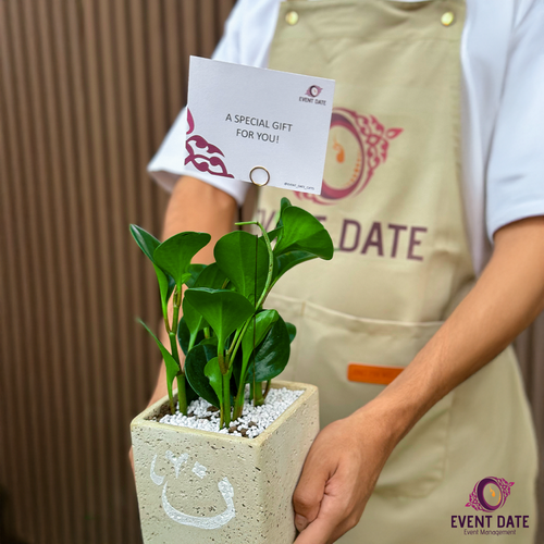 Peperomia Date