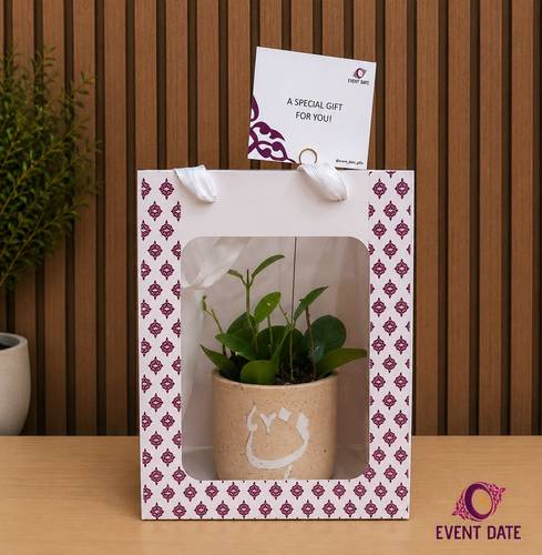 Peperomia Date