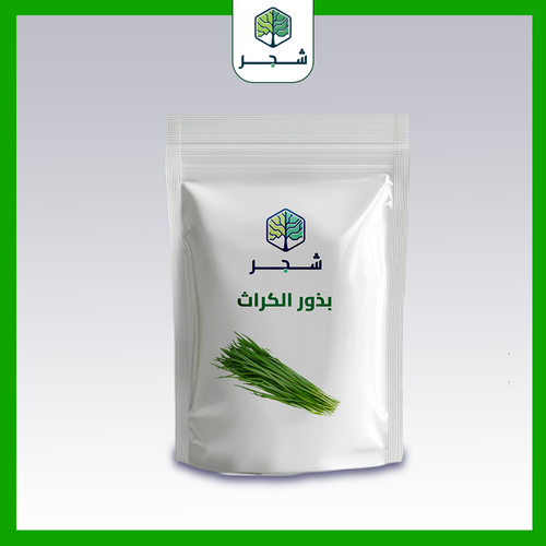 بذور الكراث 
