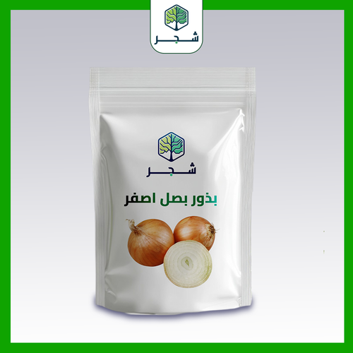 بصل اصفر