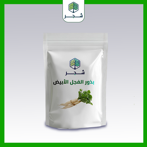 بذور الفجل الأبيض
