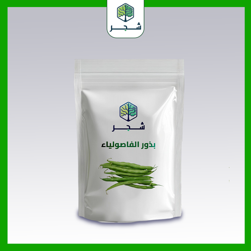 بذور الفاصولياء