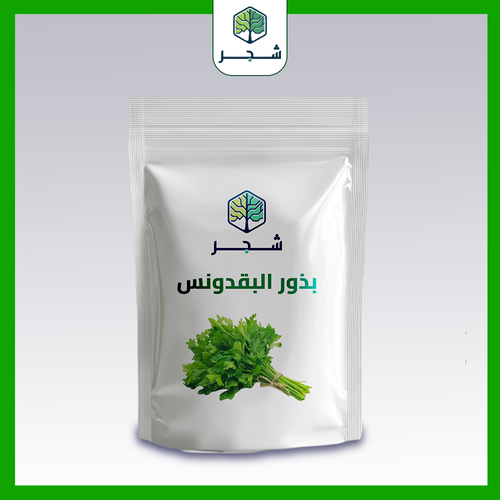 بذور البقدونس 