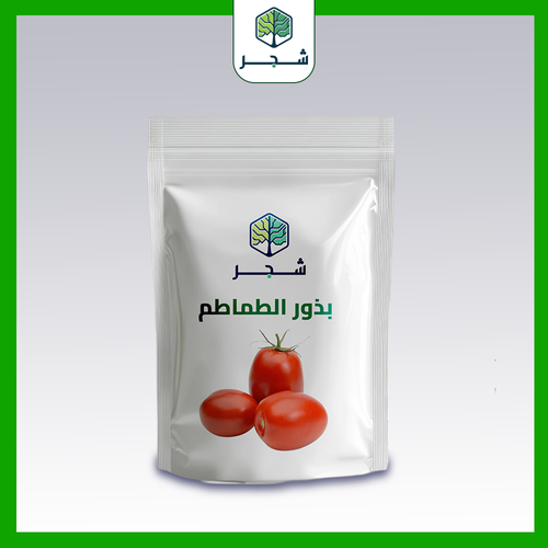 بذور الطماطم 