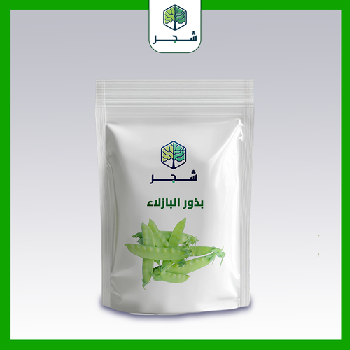 بذور البازلاء