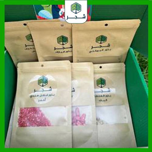 صندوق بذور الخضراوات
