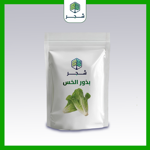 بذور الخس 