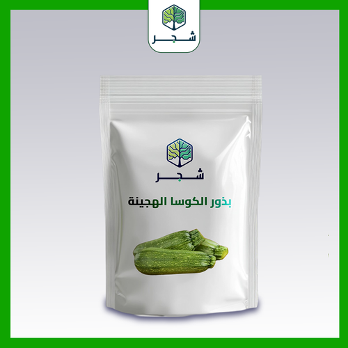بذور الكوسا الهجينة