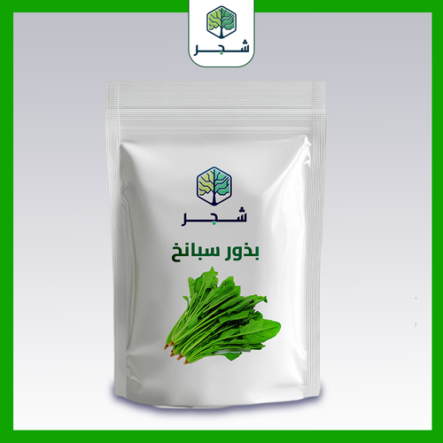 بذور سبانخ