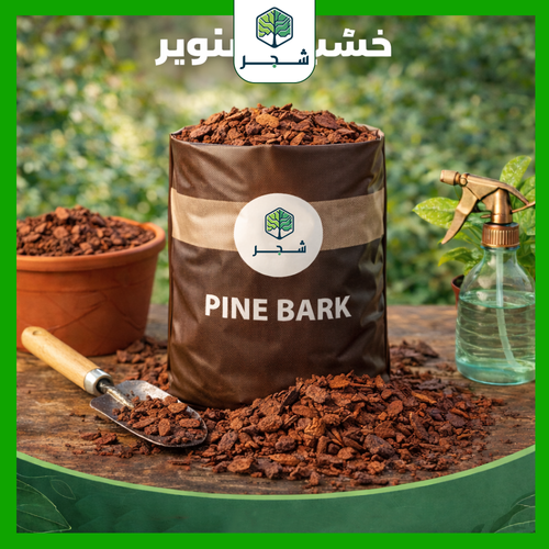 خشب الصنوبر – Pine Bark