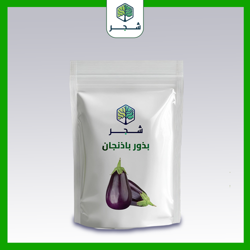 يذور باذنجان 