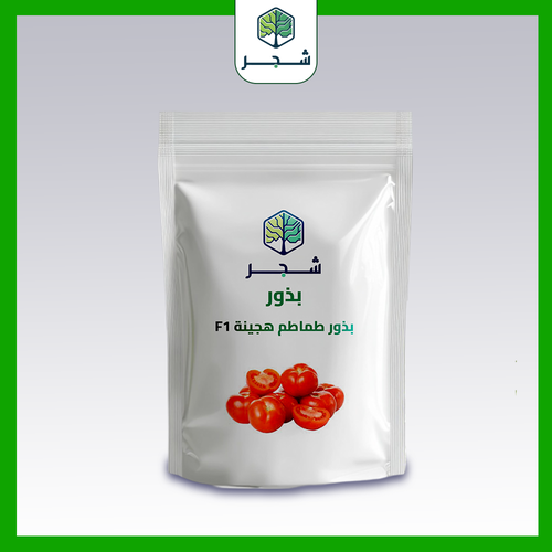 بذور طماطم هجينة F1