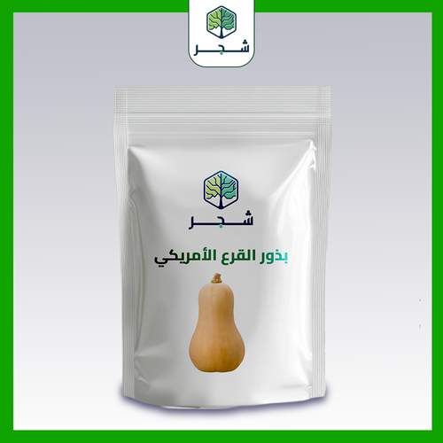 بذور القرع الأمريكي