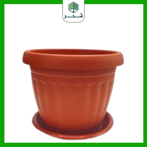 اصيص نبات صغير